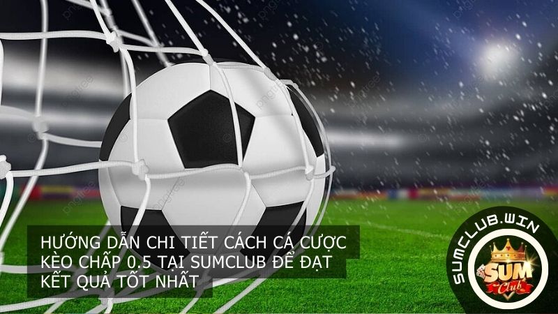Chi tiết cách cá cược kèo chấp 0.5 tại SUMCLUB