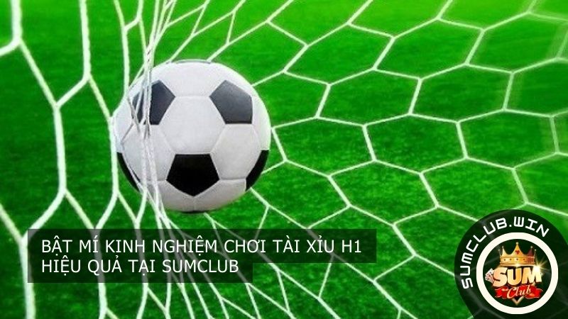 Kinh nghiệm chơi Tài Xỉu H1 hiệu quả tại SUMCLUB