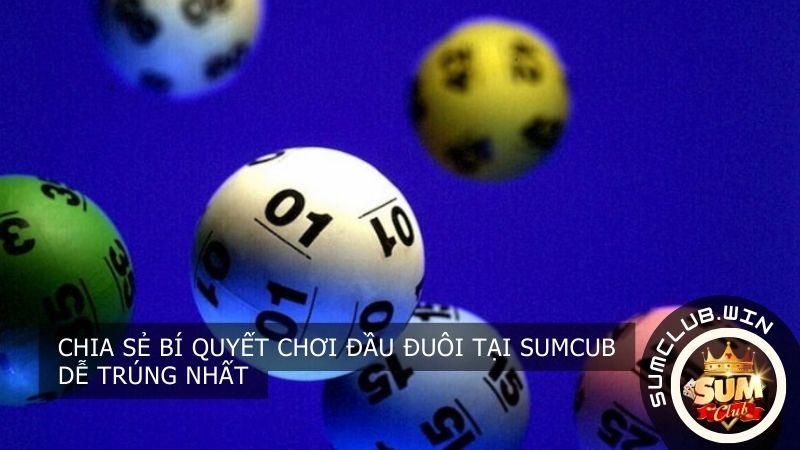 Chia sẻ bí quyết chơi đầu đuôi tại SUMCUB dễ trúng nhất