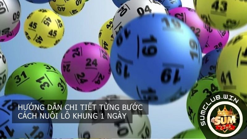 Hướng dẫn chi tiết từng bước cách nuôi lô khung 1 ngày