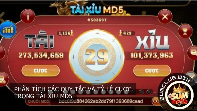 Phân tích các quy tắc và tỷ lệ cược trong Tài xỉu MD5